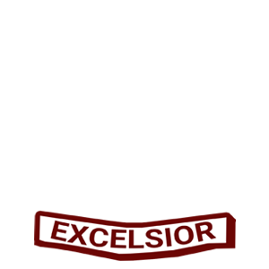 Bramhapuri Public School